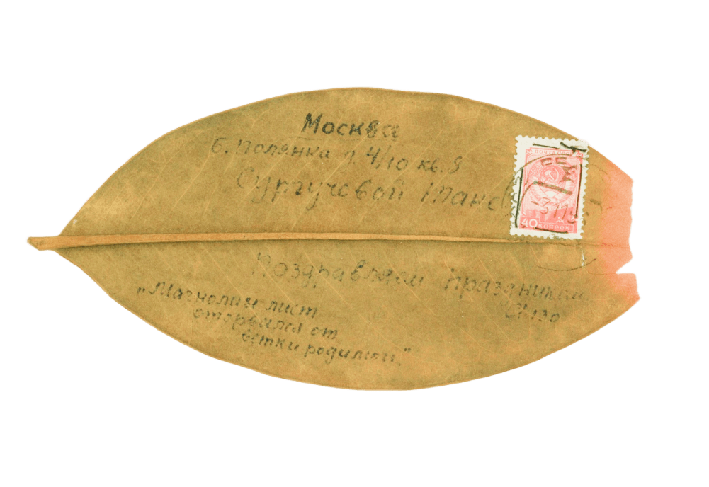 Самодельная открытка из листа магнолии